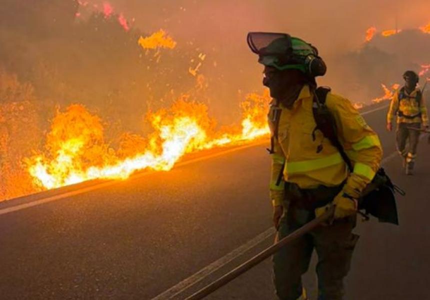 Incendios Forestales en España: Más de 11 Muertos y 50 Heridos Confirmados