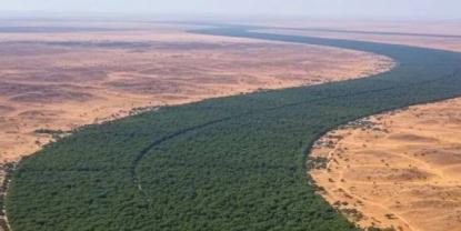 Iniciativa de la Gran Muralla Verde: un proyecto para recuperar tierras en África