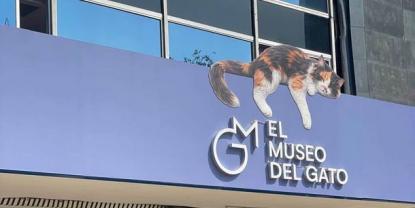 Inauguración del Museo del Gato en Ciudad de México con Realidad Aumentada