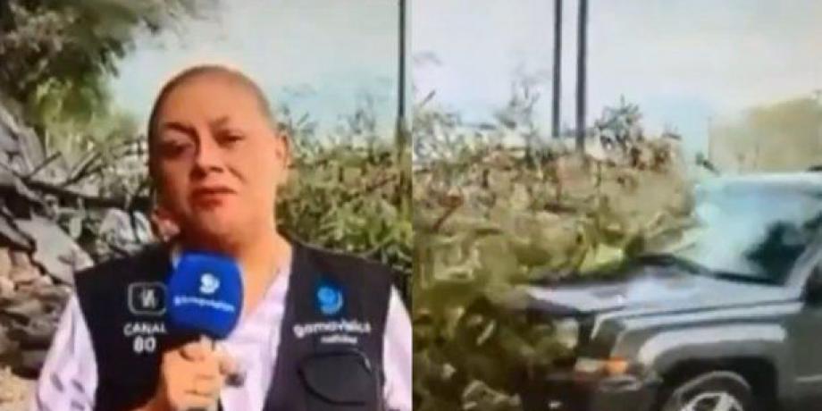 Cortesía de minuto1
