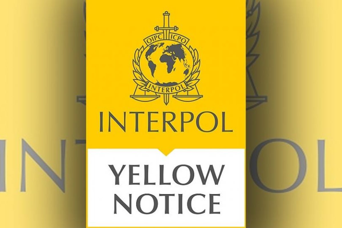 Interpol lanzó una alerta amarilla para reforzar la búsqueda de Guadalupe Lucero