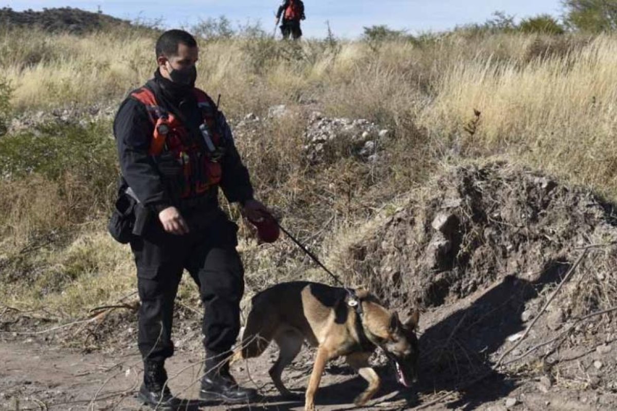 Contactado por el padre de Guadalupe, se suma al rastrillaje un equipo de perros y ex policías